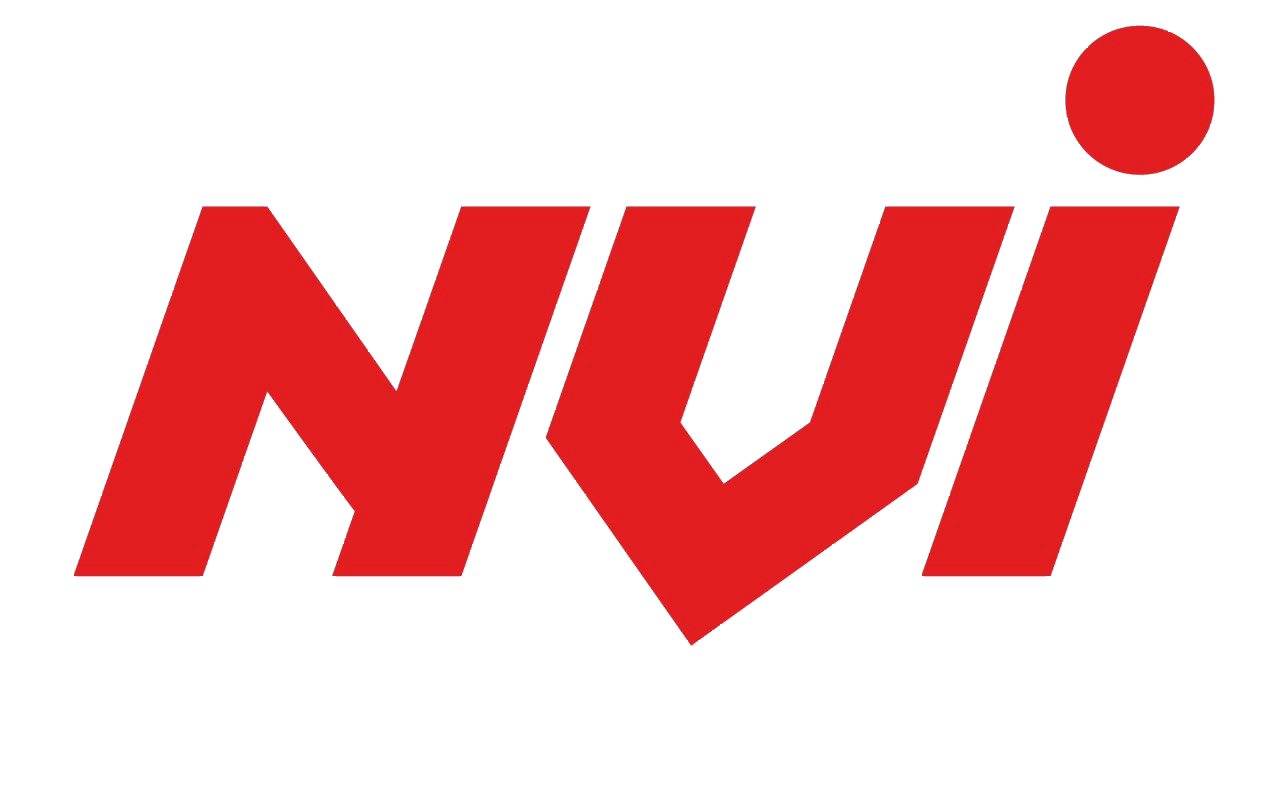 Nouvelle vision interim